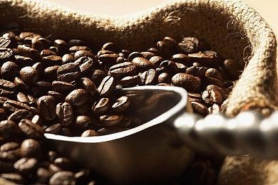 《星露谷物语》开发者表示未来将继续为游戏更新