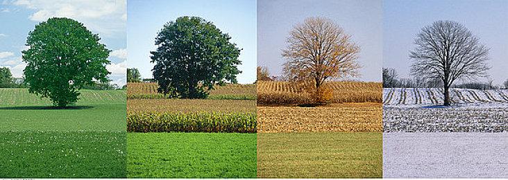 《GTA：三部曲终极版》手游似乎跳票了